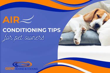 Air Conditioning Tips for Pet Owners